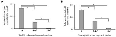 Vibrio gazogenes-dependent disruption of aflatoxin biosynthesis in Aspergillus flavus: the connection with endosomal uptake and hyphal morphogenesis